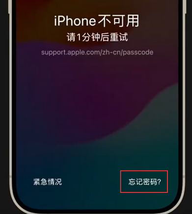 科尔沁右翼中苹果手机密码维修分享iPhone忘记了刚设置的密码 