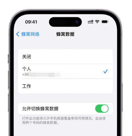 科尔沁右翼中苹果维修服务分享如何在iPhone上使用双卡 